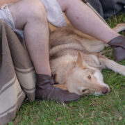 Galleria Fotografica 20anni