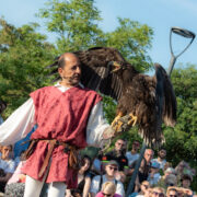 Galleria Fotografica 20anni